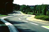 chicane poissy